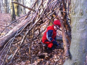 Toddler in den